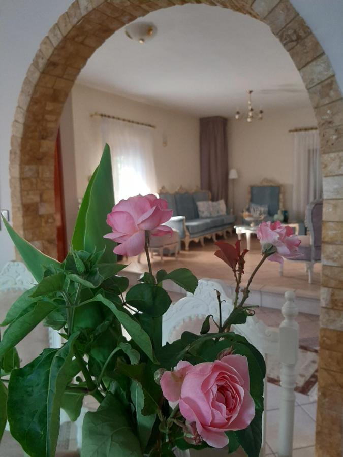 Vintage Home Никити Экстерьер фото